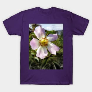 old-fashioned roses by Fox Creek & Columbia River 3 T-Shirt